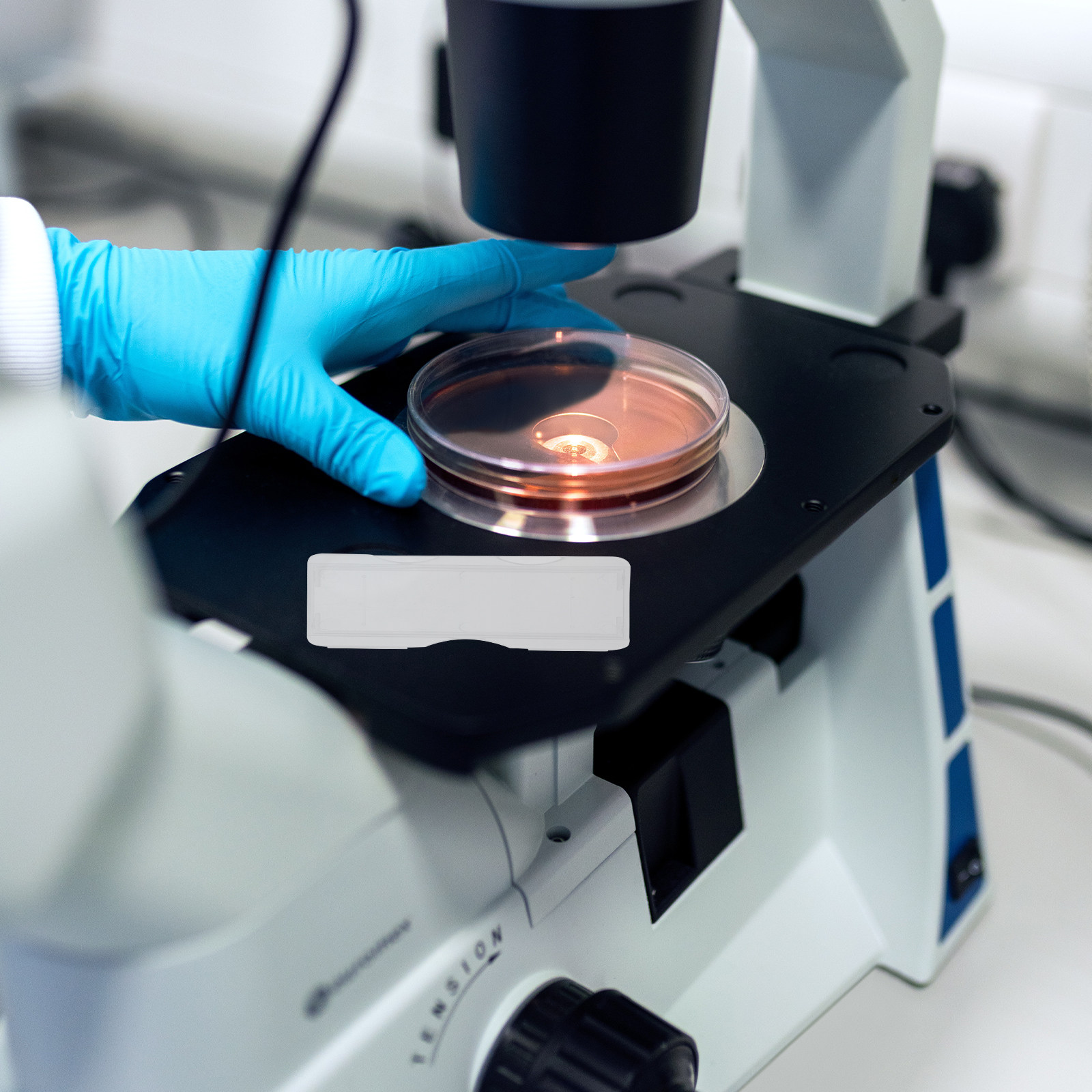 100Pcs Pathology Microscope Sl - đánh giá và giá Pathology Slide Storage